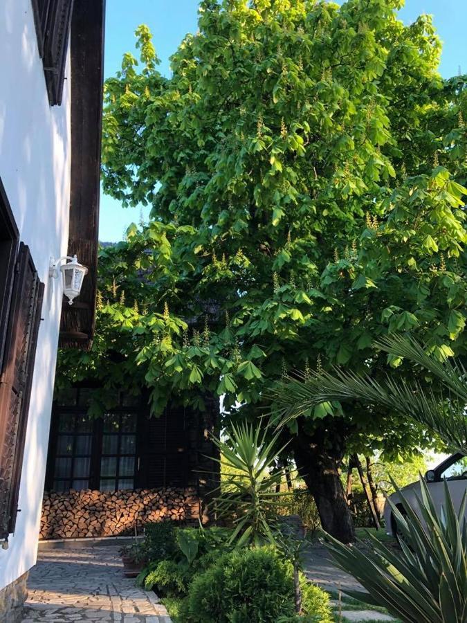 Echo Apartman Tihany Exterior foto